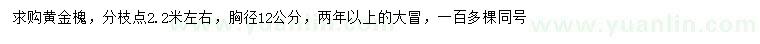 求購胸徑12公分黃金槐