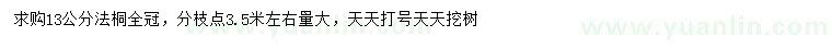 求購13公分法桐