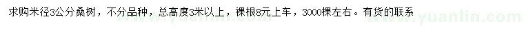 求購米徑3公分桑樹