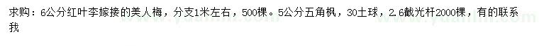 求購(gòu)6公分美人梅、5公分五角楓