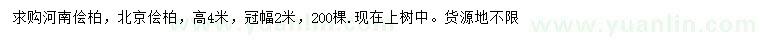 求購高4米河南檜柏、北京檜柏