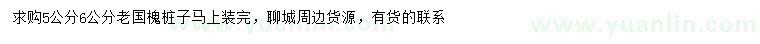 求購5、6公分老國槐