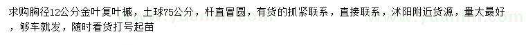 求購胸徑12公分金葉復葉槭