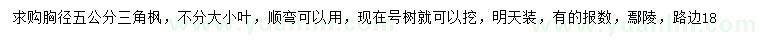求購胸徑5公分三角楓