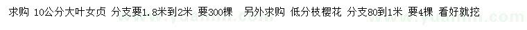 求購10公分大葉女貞