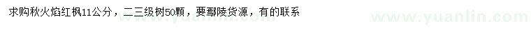 求購11公分紅楓秋火焰