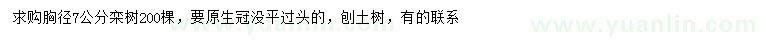 求購胸徑7公分欒樹