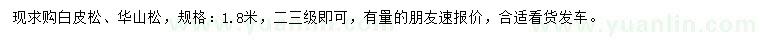 求購1.8米白皮松、華山松