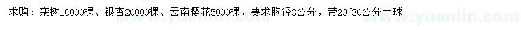 求購欒樹、銀杏、云南櫻花