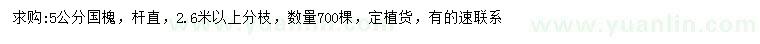 求購5公分國槐