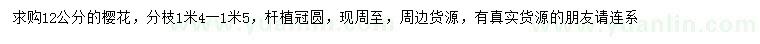 求購12公分櫻花