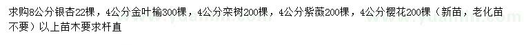 求購銀杏、金葉榆、欒樹等
