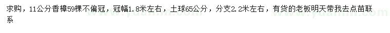 求購11公分香樟