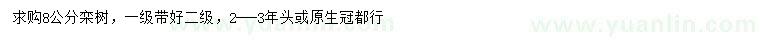 求購8公分欒樹
