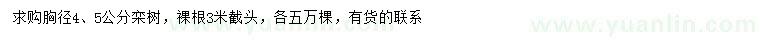 求購(gòu)胸徑4、5公分欒樹