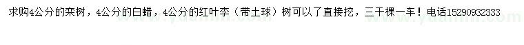 求購欒樹、白蠟、紅葉李