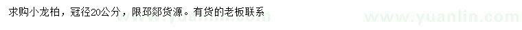 求購冠幅20公分小龍柏