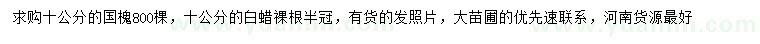 求購(gòu)10公分國(guó)槐、白蠟