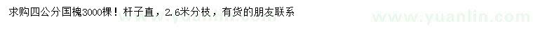 求購4公分國槐