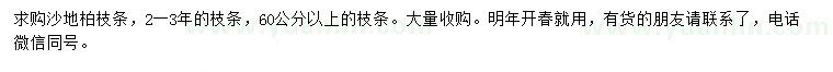 求購60公分以上沙地柏枝條