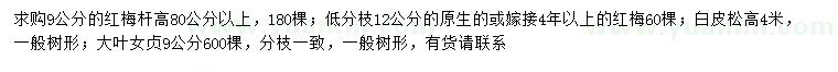 求購(gòu)紅梅、白皮松、大葉女貞