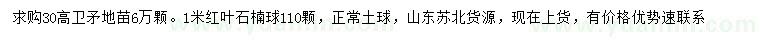 求購高30公分衛(wèi)矛、1米紅葉石楠球