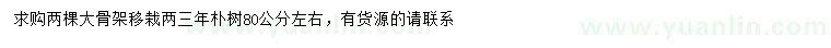 求購(gòu)80公分左右樸樹(shù)