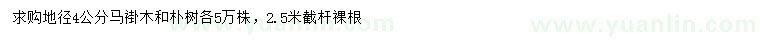 求購(gòu)地徑4公分馬褂木、樸樹(shù)