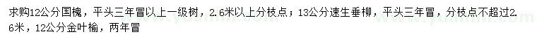 求購國槐、速生垂柳、金葉榆