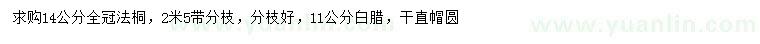 求購(gòu)14公分法桐、11公分白蠟
