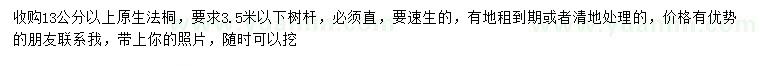 求購(gòu)13公分法桐