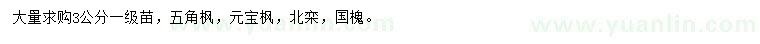 求購(gòu)五角楓、元寶楓、北欒等