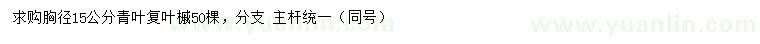 求購(gòu)胸徑15公分青葉復(fù)葉槭