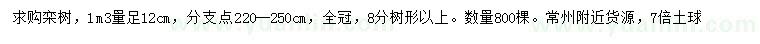 求購1.3米量足12公分欒樹