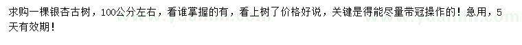 求購100公分左右銀杏