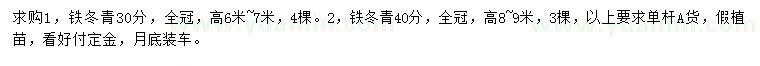 求購30、40公分鐵冬青