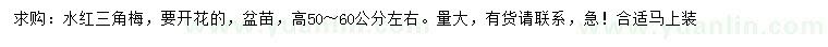求購高50-60公分左右水紅三角梅