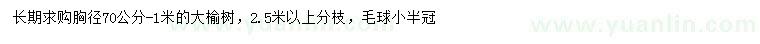 求購胸徑0.7-1米榆樹