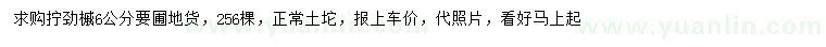 求購6公分?jǐn)Q勁槭