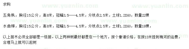 求購胸徑15公分五角楓、水曲柳