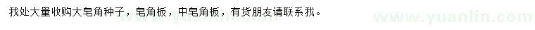 求購皂角種子、皂角板