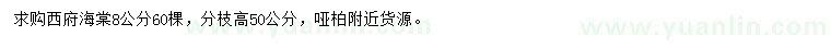 求購8公分西府海棠