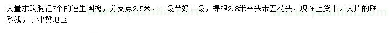 求購胸徑7公分速生國槐