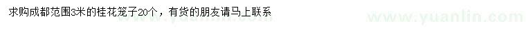 求購(gòu)3米桂花