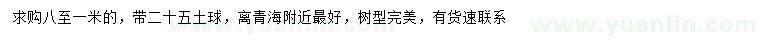 求購0.8-1米側(cè)柏