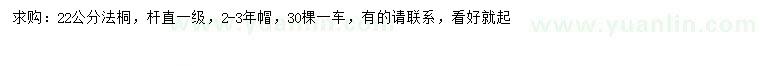 求購22公分法桐