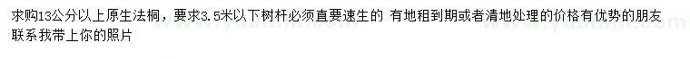 求購13公分以上法桐
