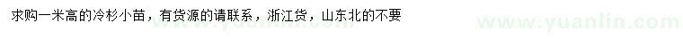 求購高1米冷杉小苗