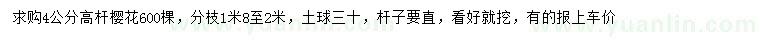 求購4公分櫻花