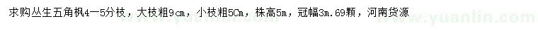 求購(gòu)高5米叢生五角楓